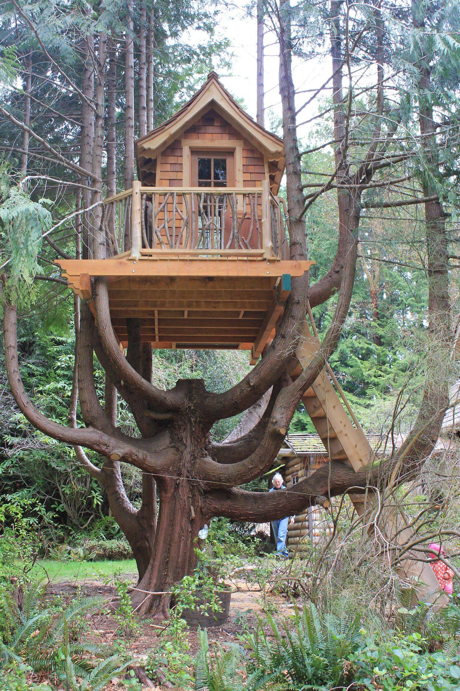 Treehouse Design Ideas