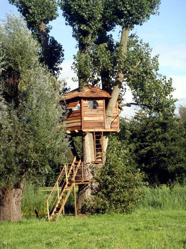 Completed London Treehouse Tree House Designs