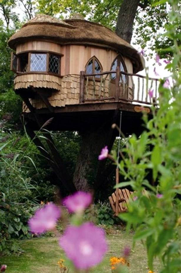 Tree House Tree House Designs