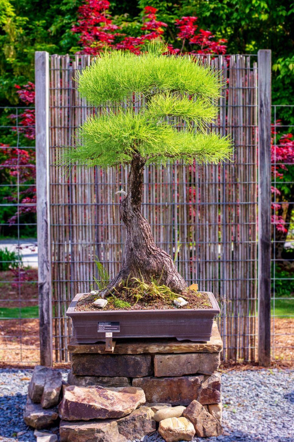 Outdoor Decor