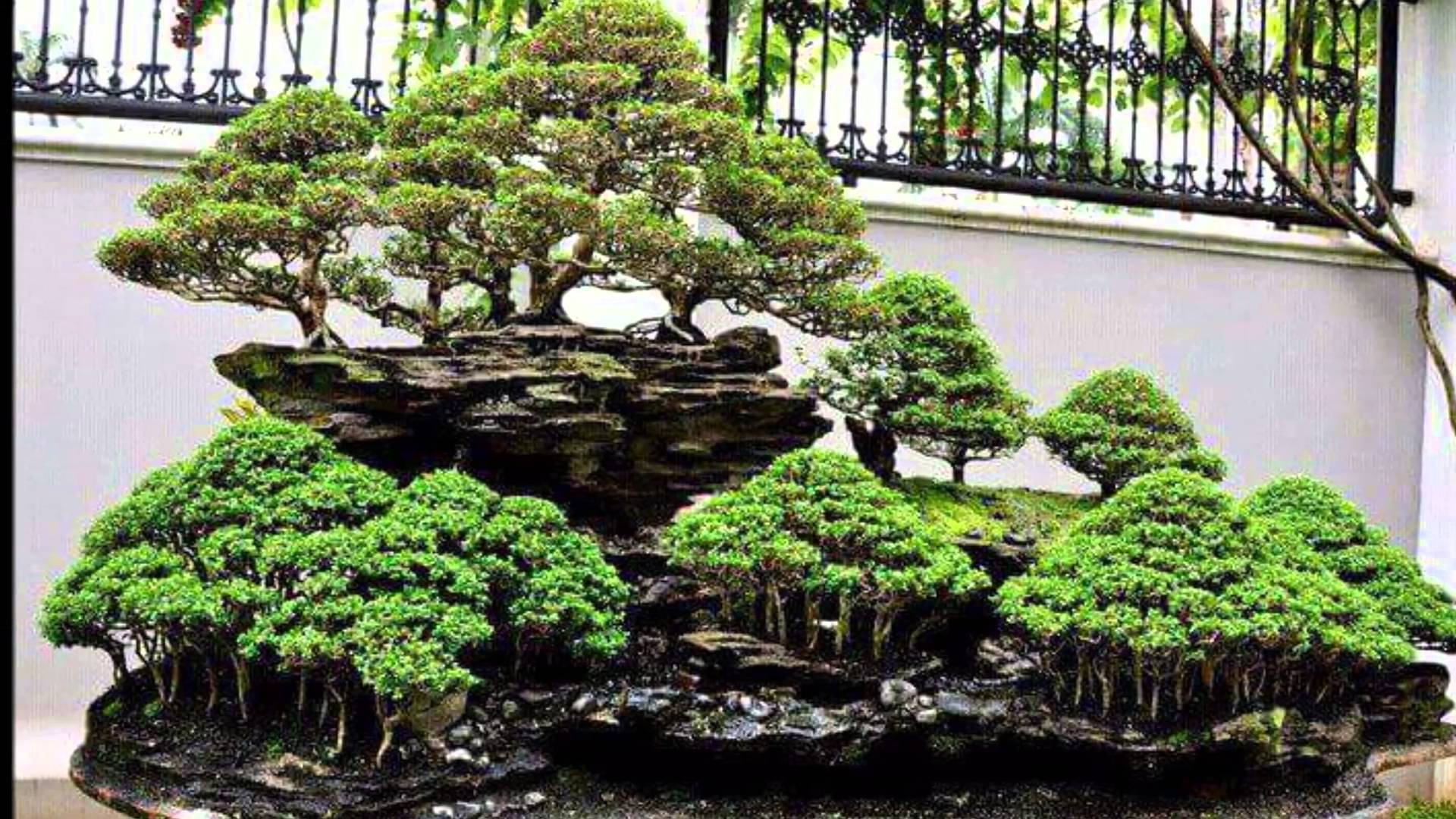 Bonsai Garden Design Bonsai Empire