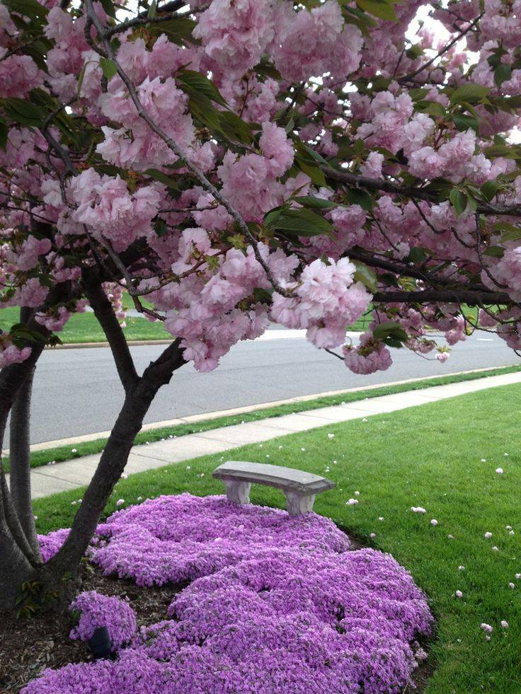 Inspiring Front Yard Landscaping Ideas Page