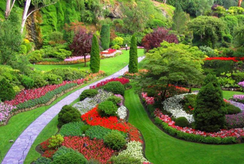 Mailbox Flower Garden