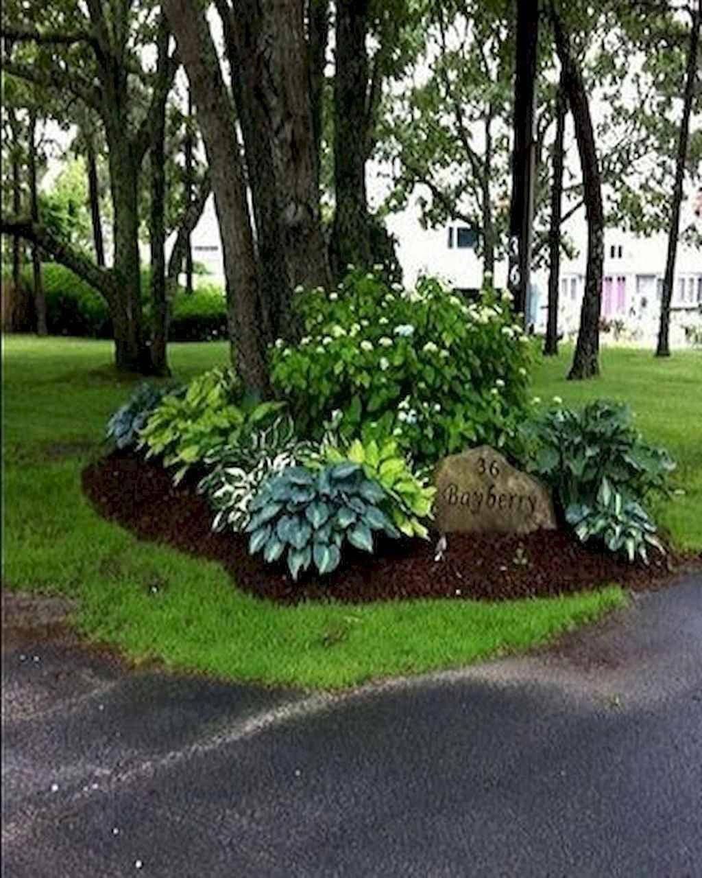 Front Yard Landscaping