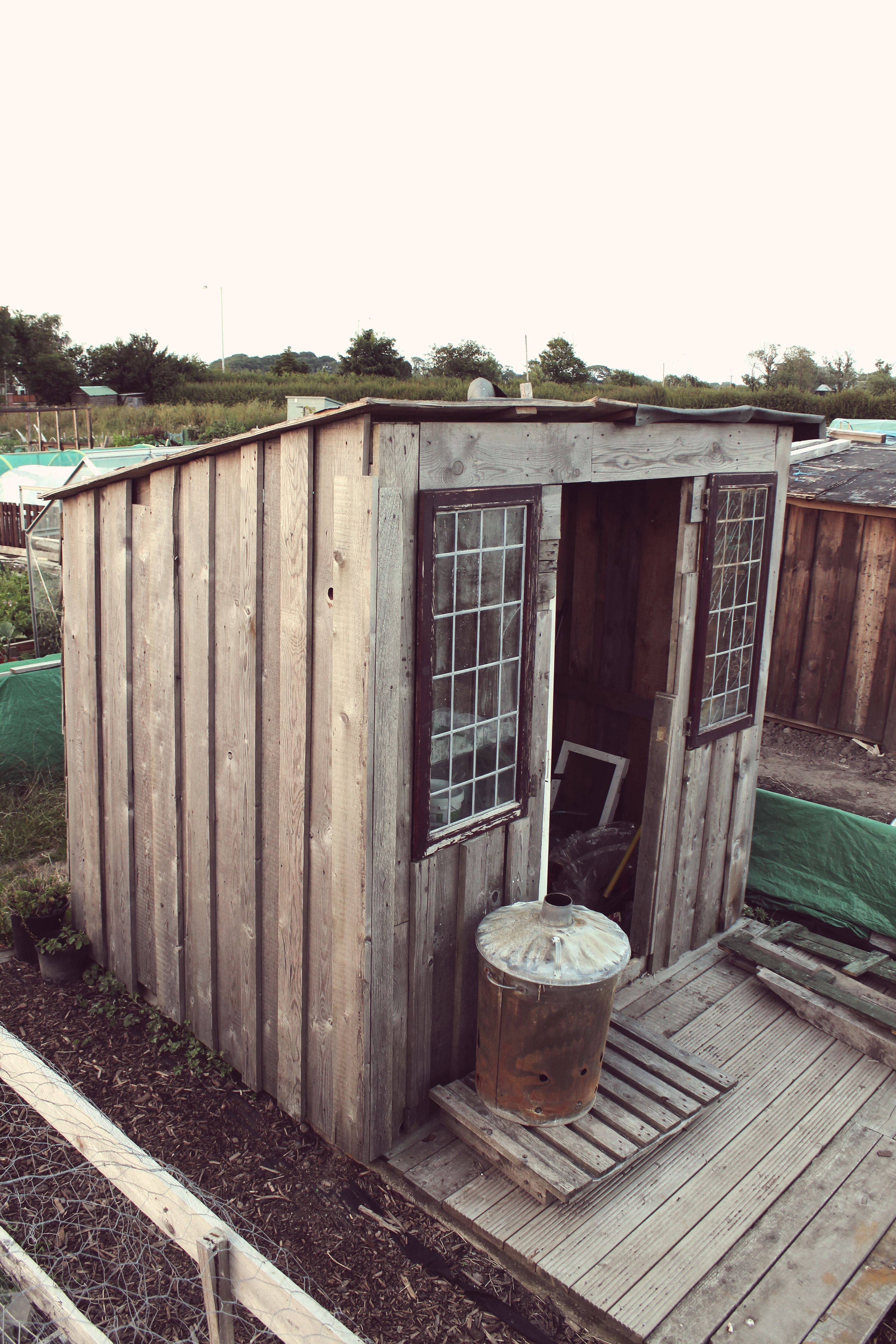 Tree Felling Destruction