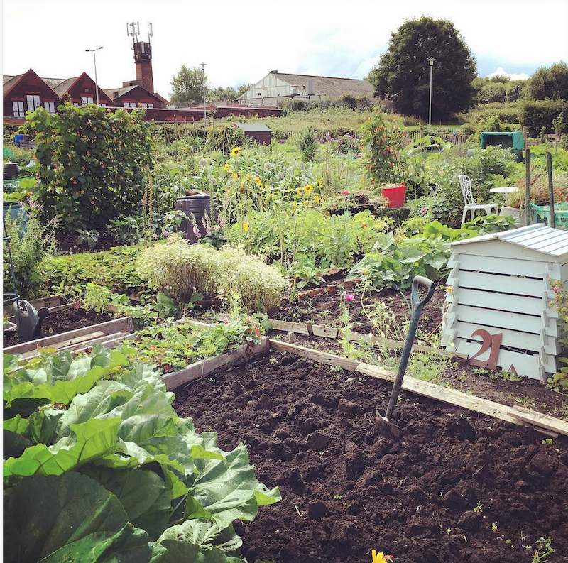 The Kerrowkneale Allotment Lovely Greens Garden Living