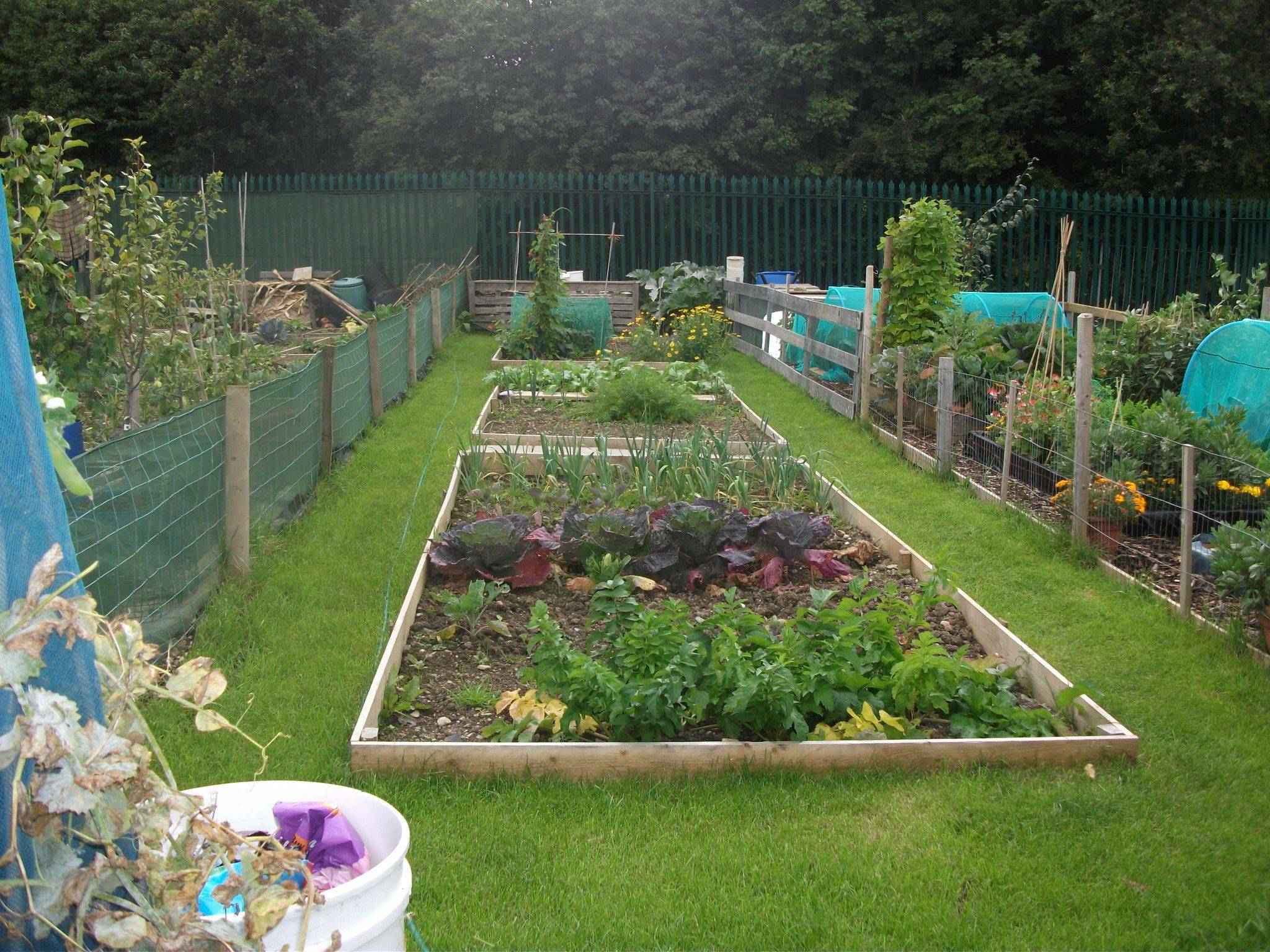 Britains Youngest Or Oldest Allotment Gardener
