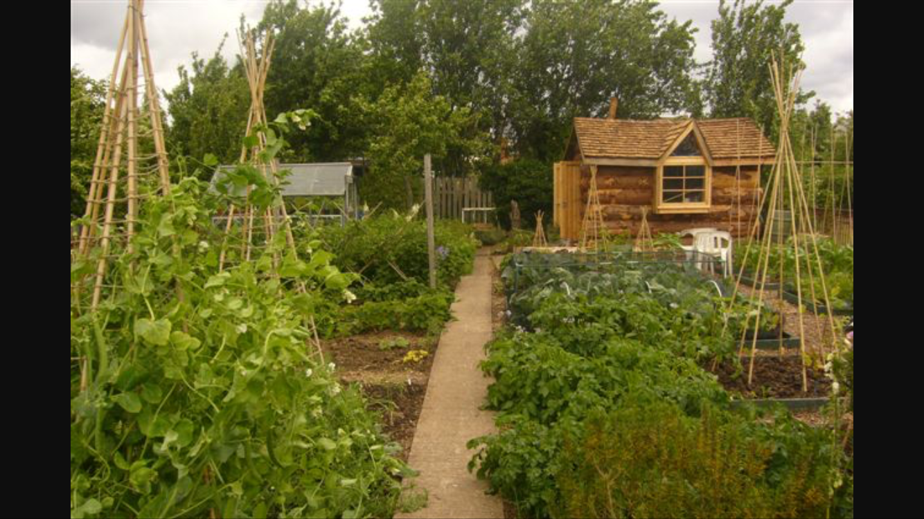How To Construct Raised Beds Raised Deep Bed Growing