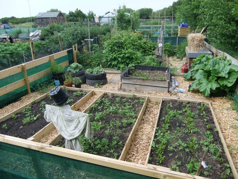 Small Backyard Gardens