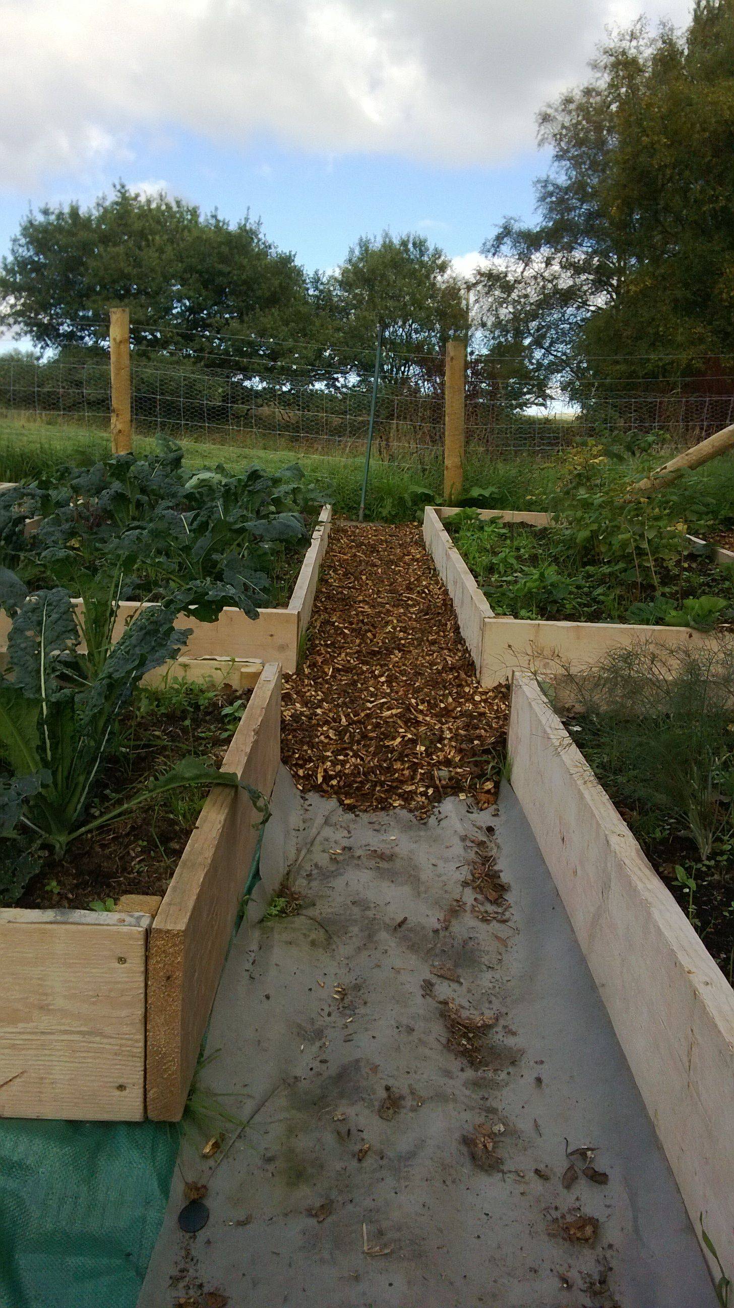 Elaine Christian Garden Design Northants
