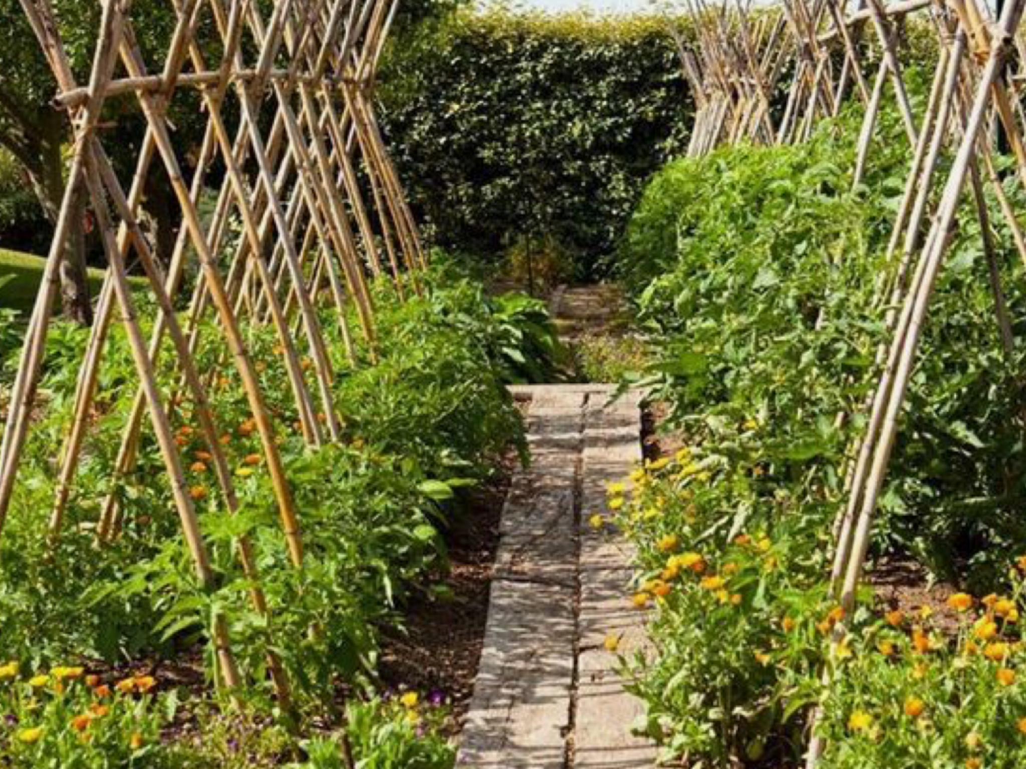 Superior Wooden Raised Bed Kits Harrod Horticultural