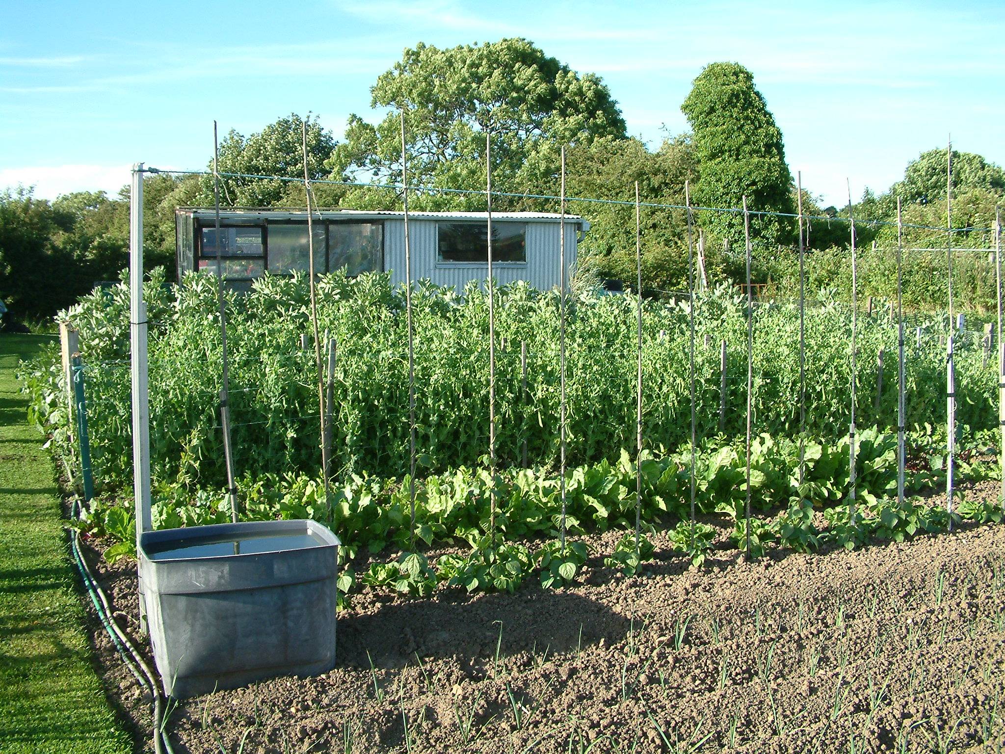 Dean Allotments Society