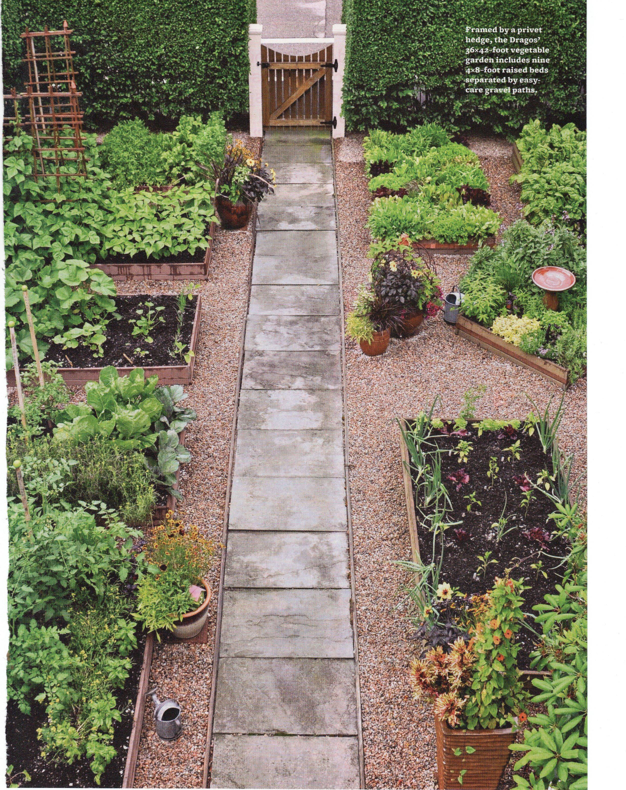 Vegetable Raised Beds Pathway