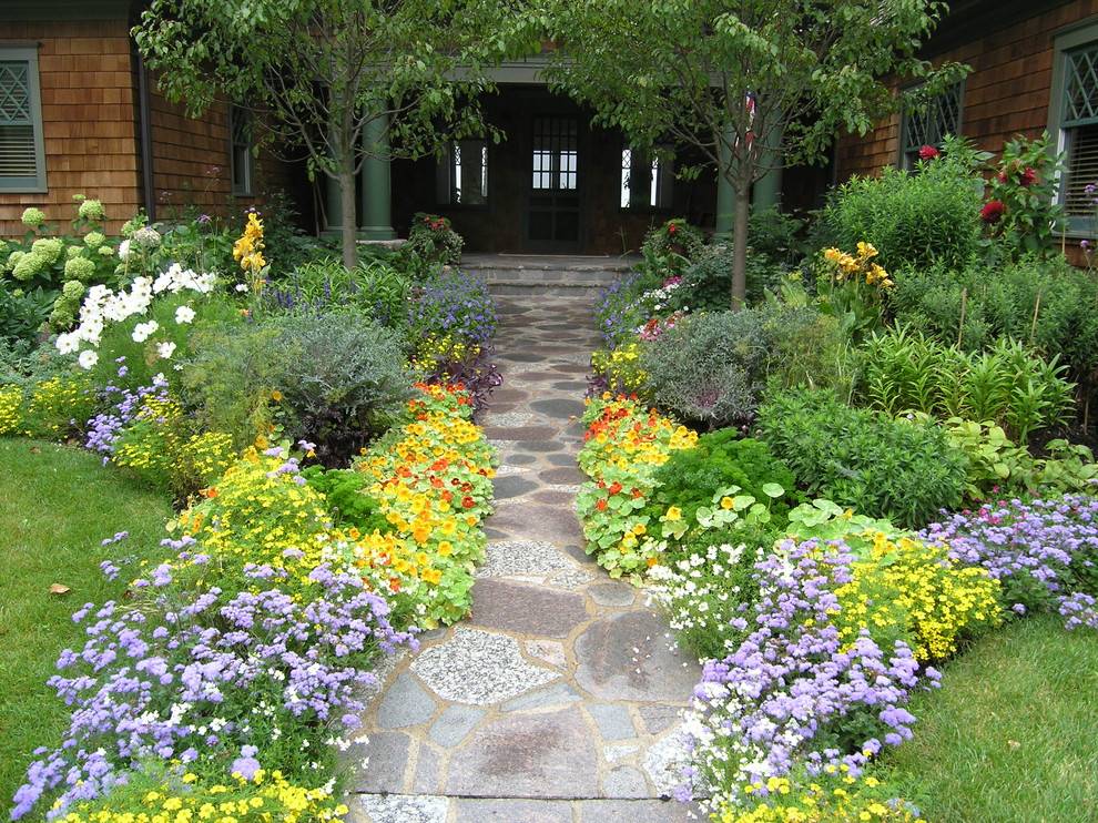 Landscape Ideas