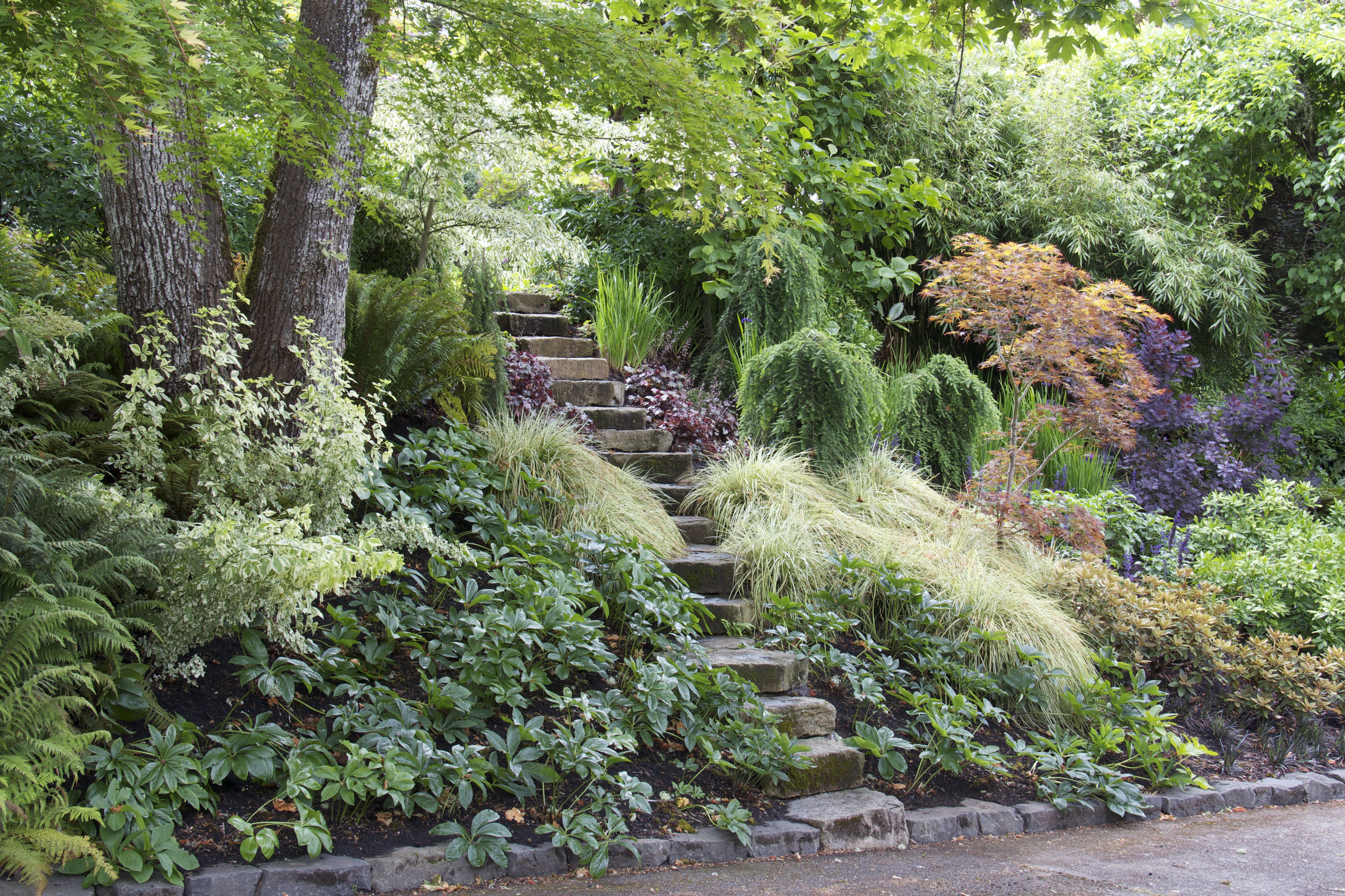 Long Gardens Sloped Garden
