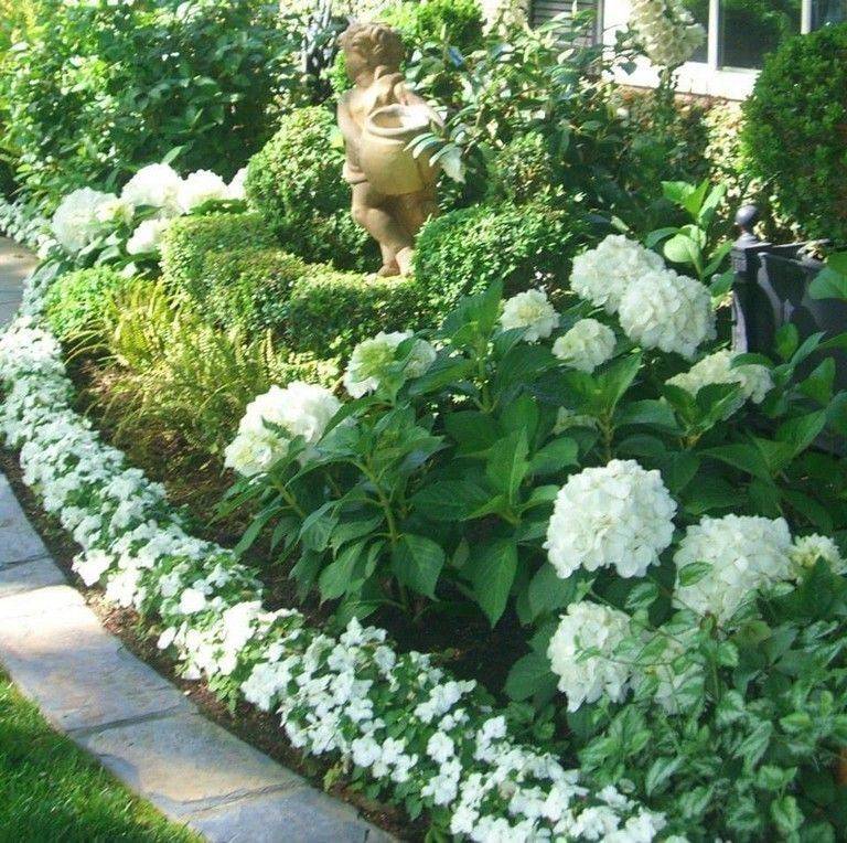 Blue And White Flowers