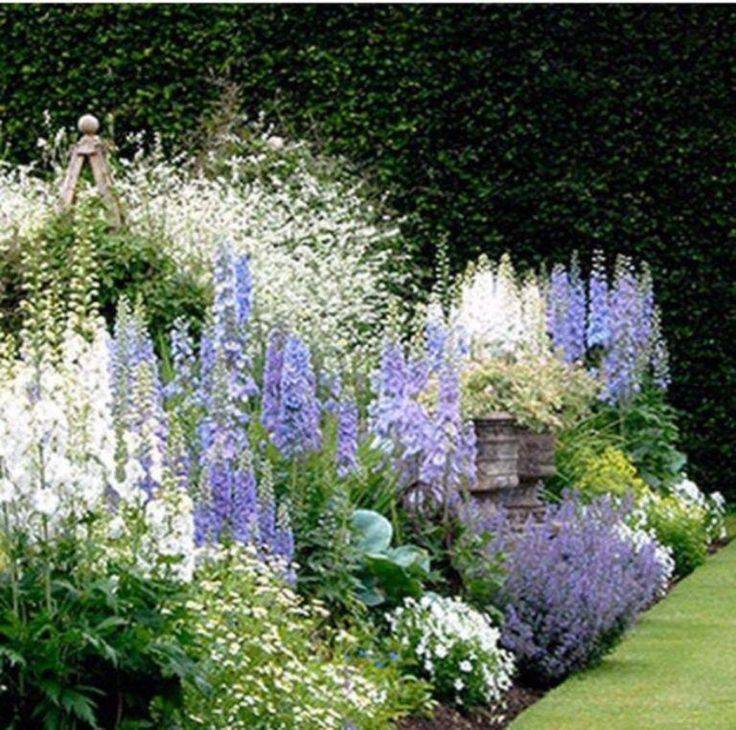 Top Gorgeous White Plants Garden Ideas