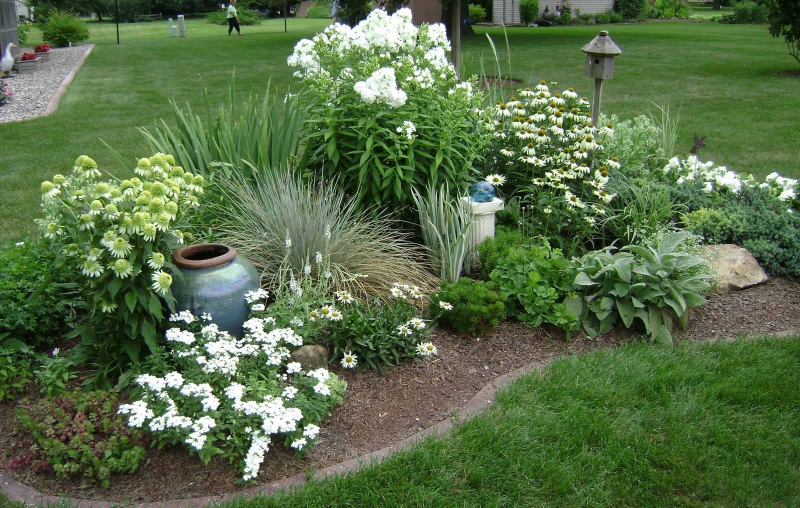 White Garden White Plant Ideas