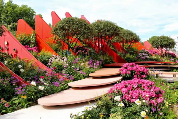 How Landscaping Added Instant Charm