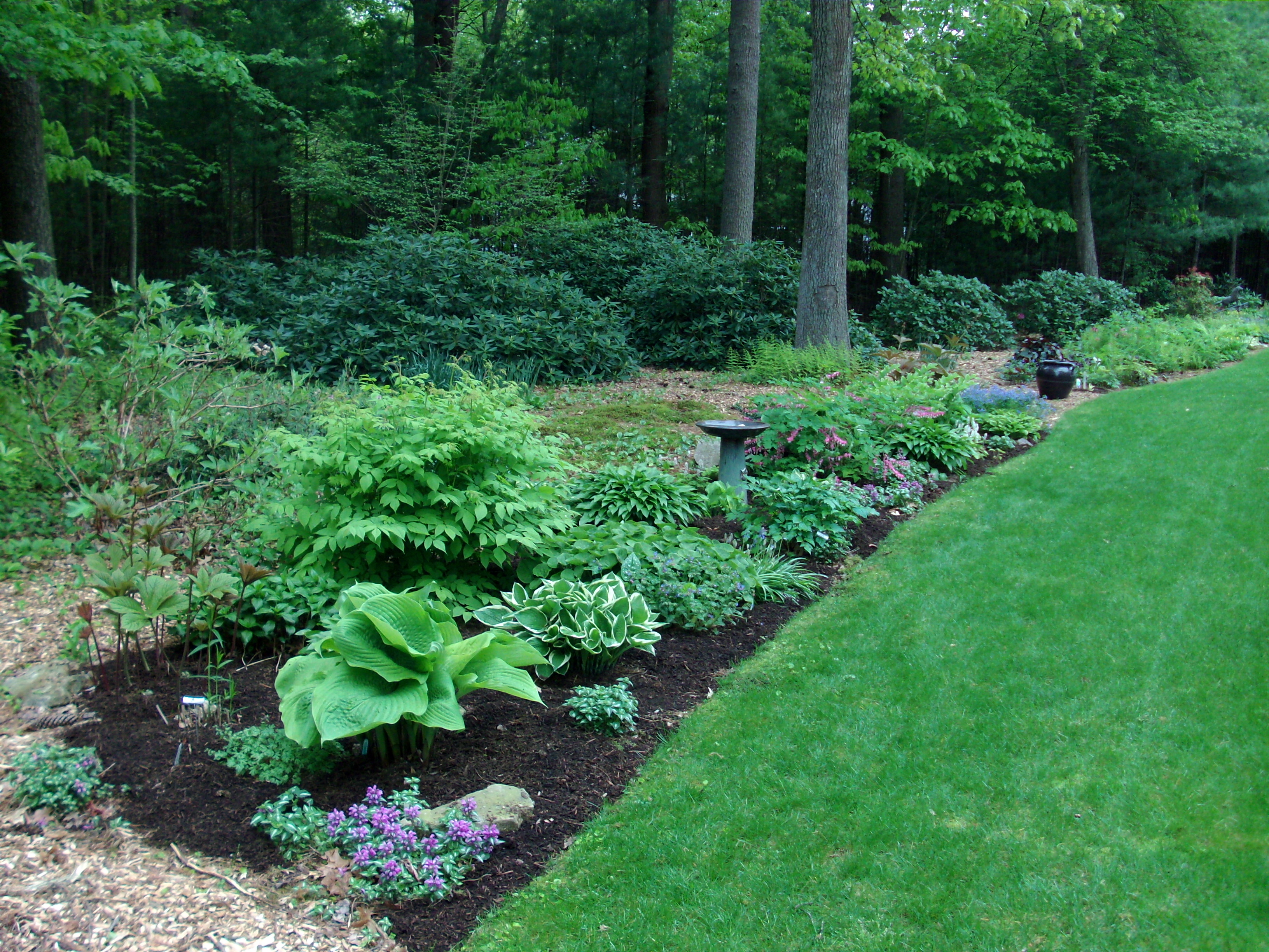 Landscaping Ideas