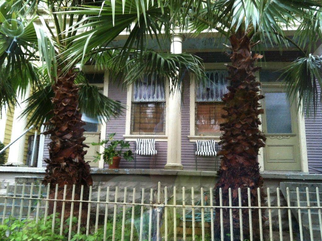 20 Lower Garden District New Orleans Ideas Worth to Check SharonSable
