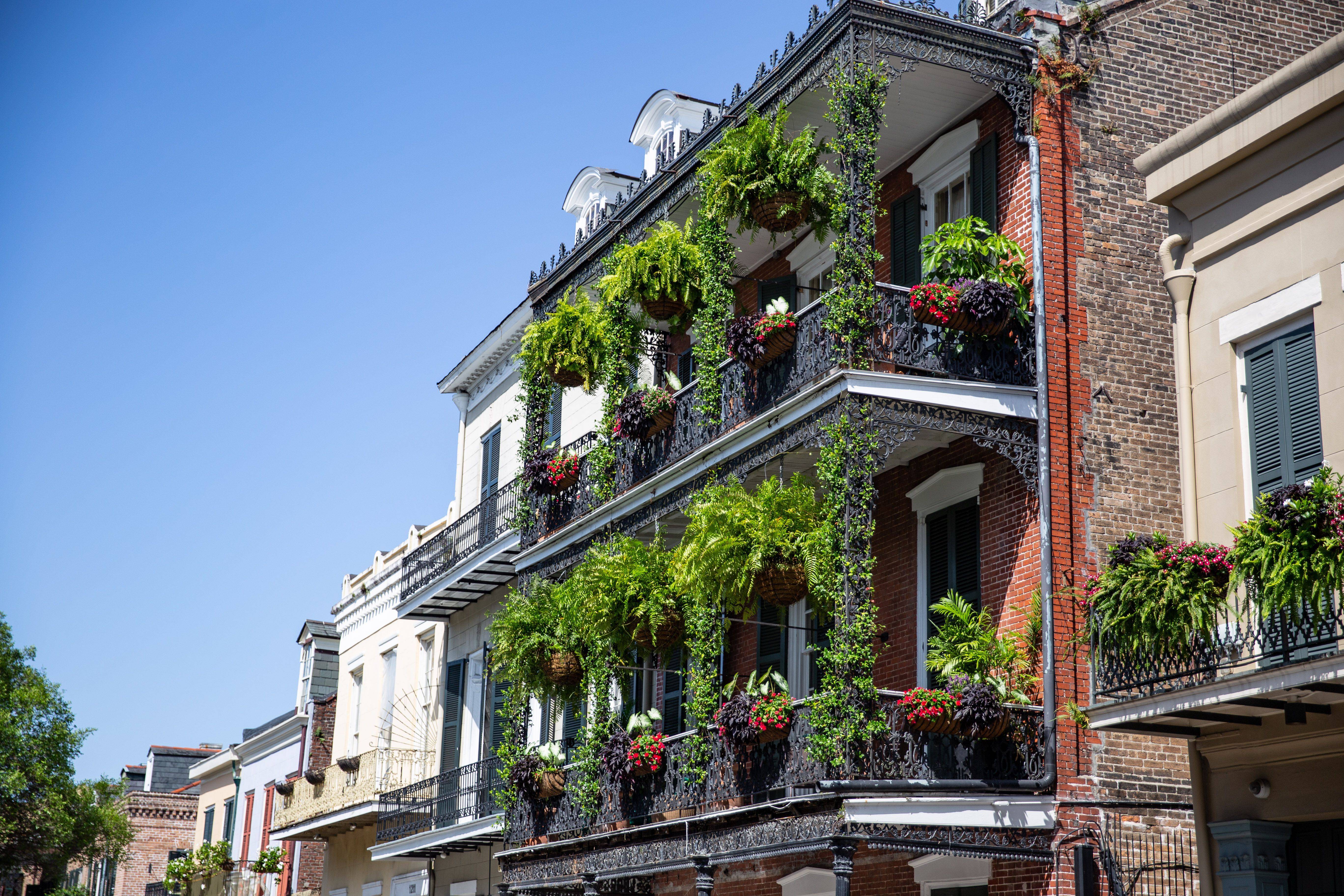 The Garden District