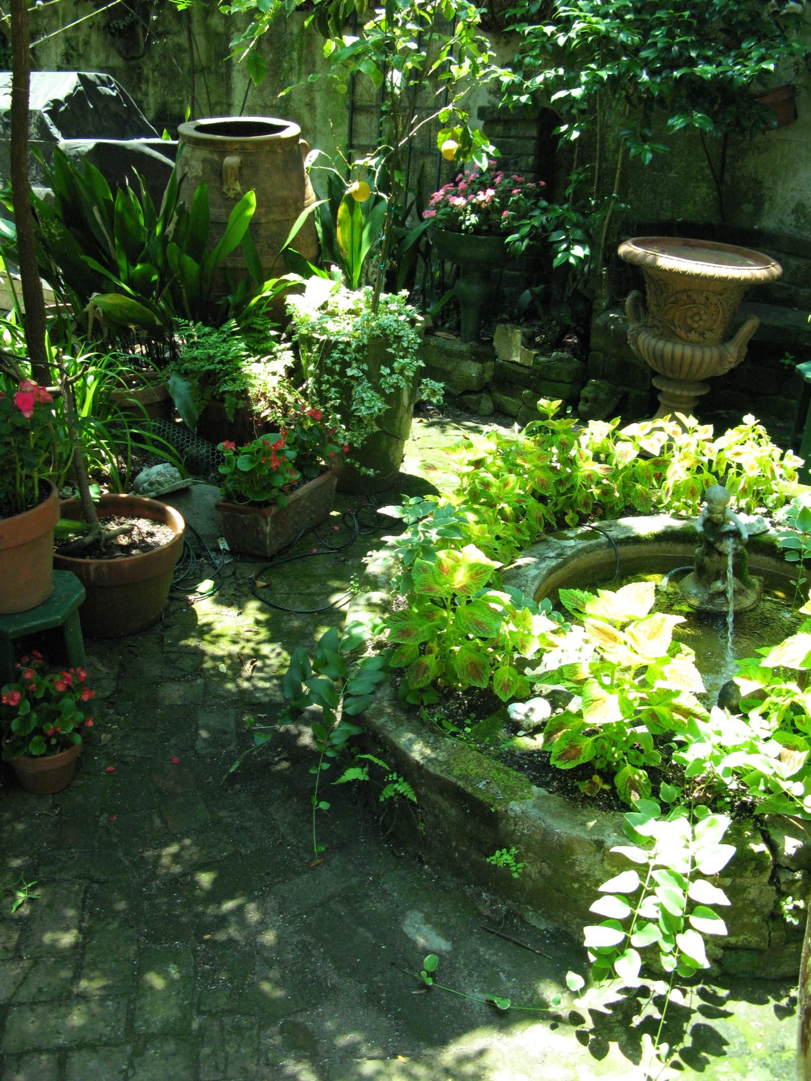 My New Orleans Parterre Garden