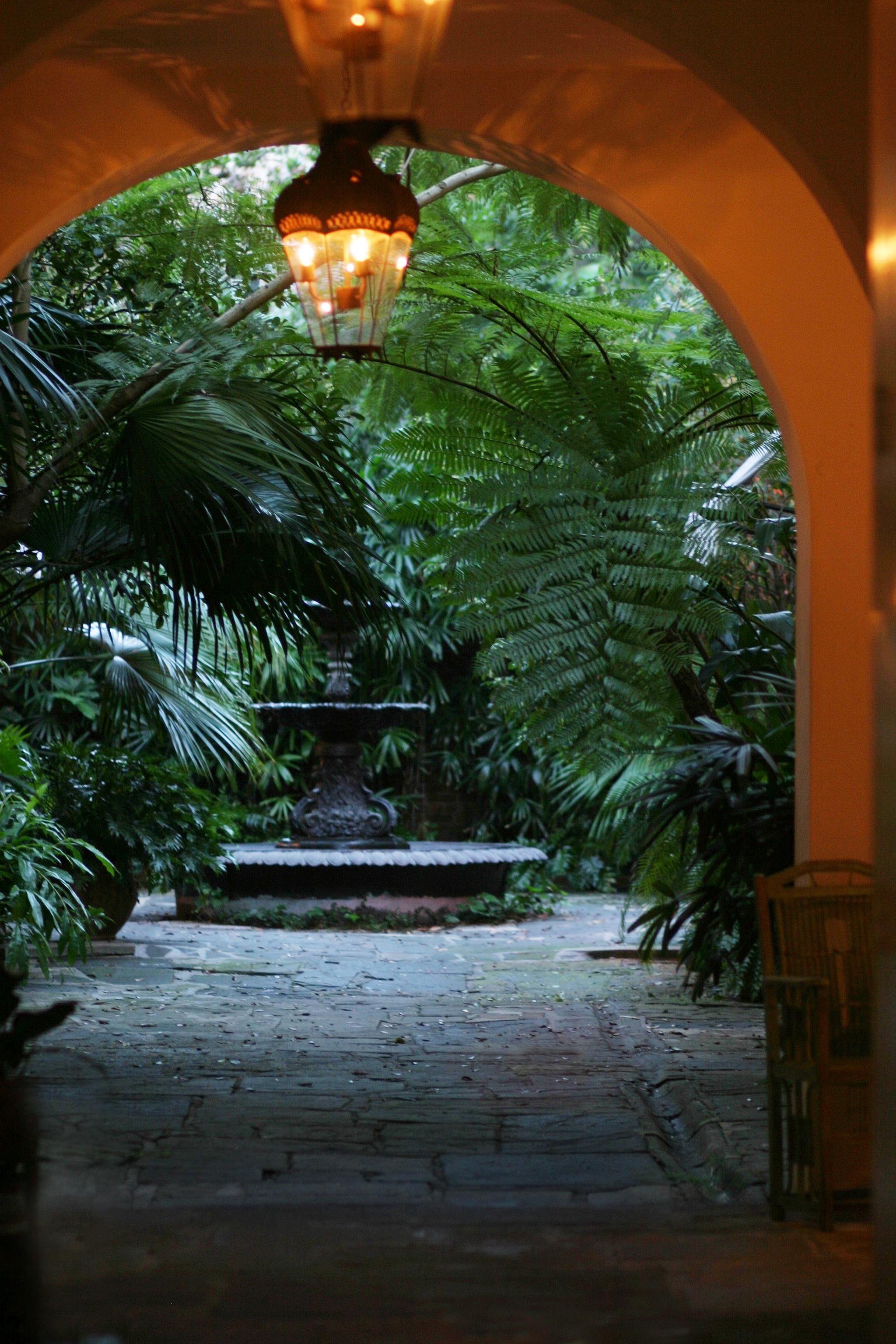 18 New Orleans Style Garden Ideas To Consider | SharonSable