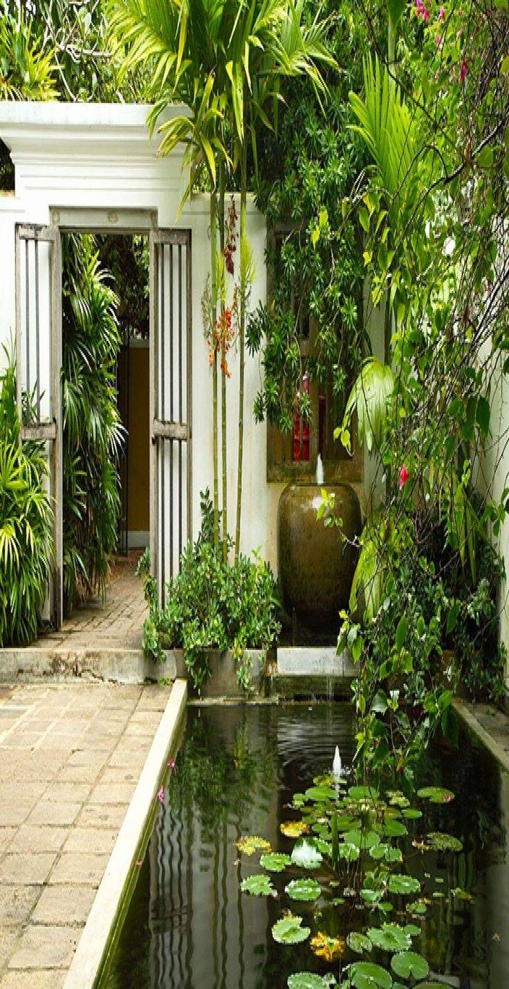 Modern Luxury Homes Beautiful Garden Designs