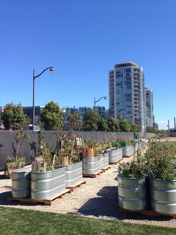 23 Rooftop Garden Definition Ideas To Consider SharonSable