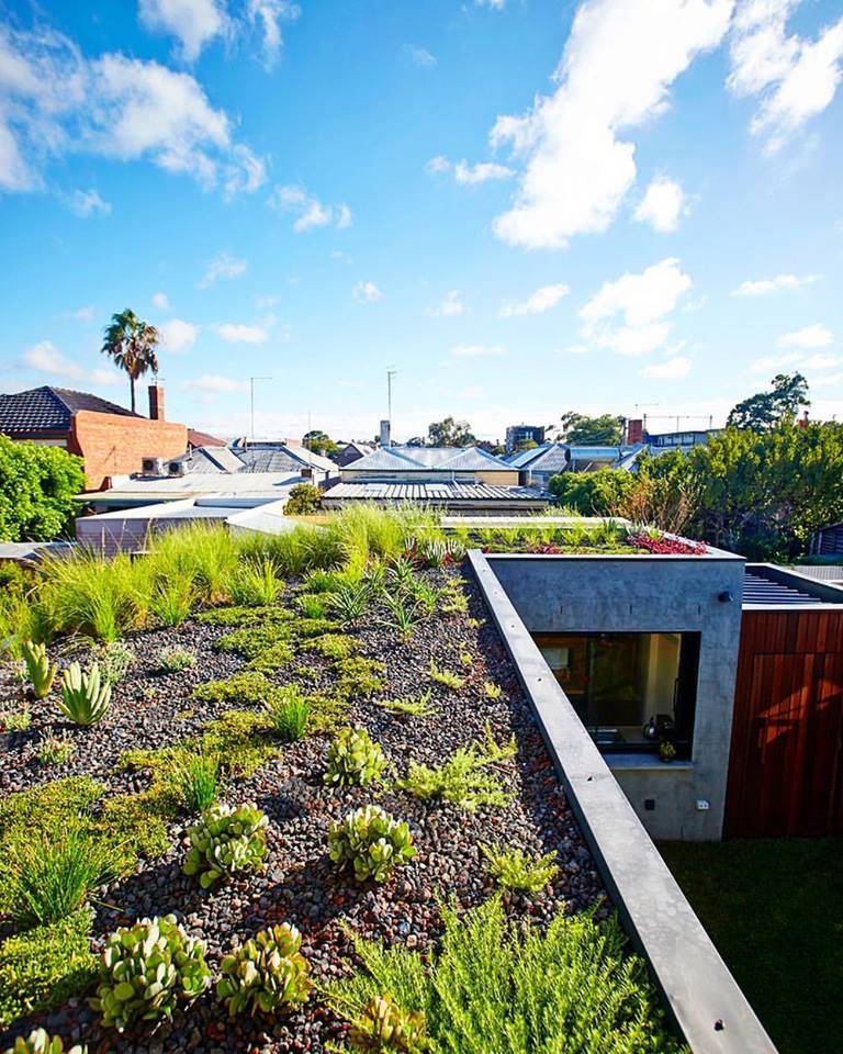 23 Rooftop Garden Definition Ideas To Consider SharonSable