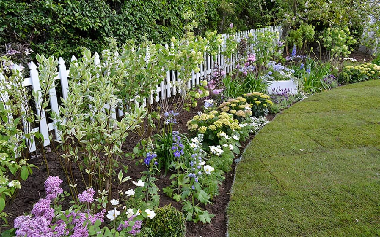 21 New England Perennial Garden Ideas You Cannot Miss SharonSable