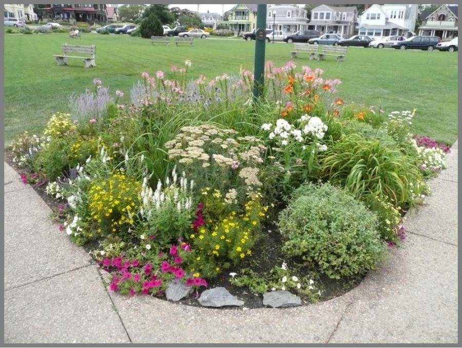 The Perfect Perennial Flower Bed