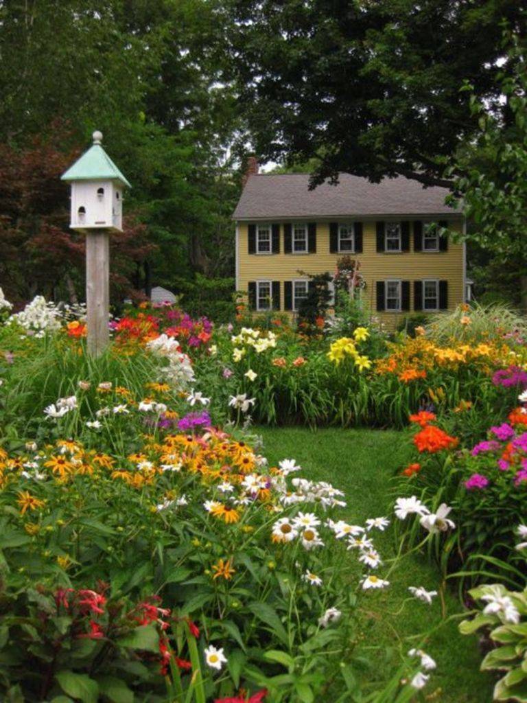 Cottage Garden Perennial Bed