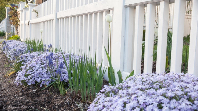 A Corner Flower Bed