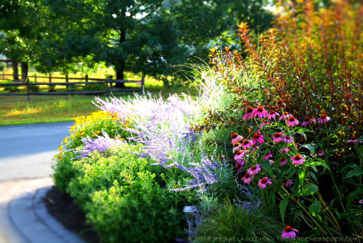 New England Cottage Garden Cottage Garden