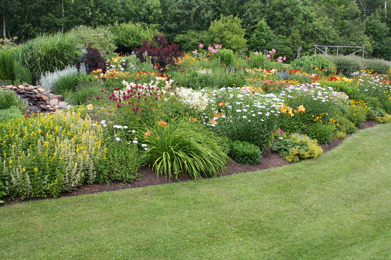 New England Perennial Flower Gardens Eclectic Landscape Boston