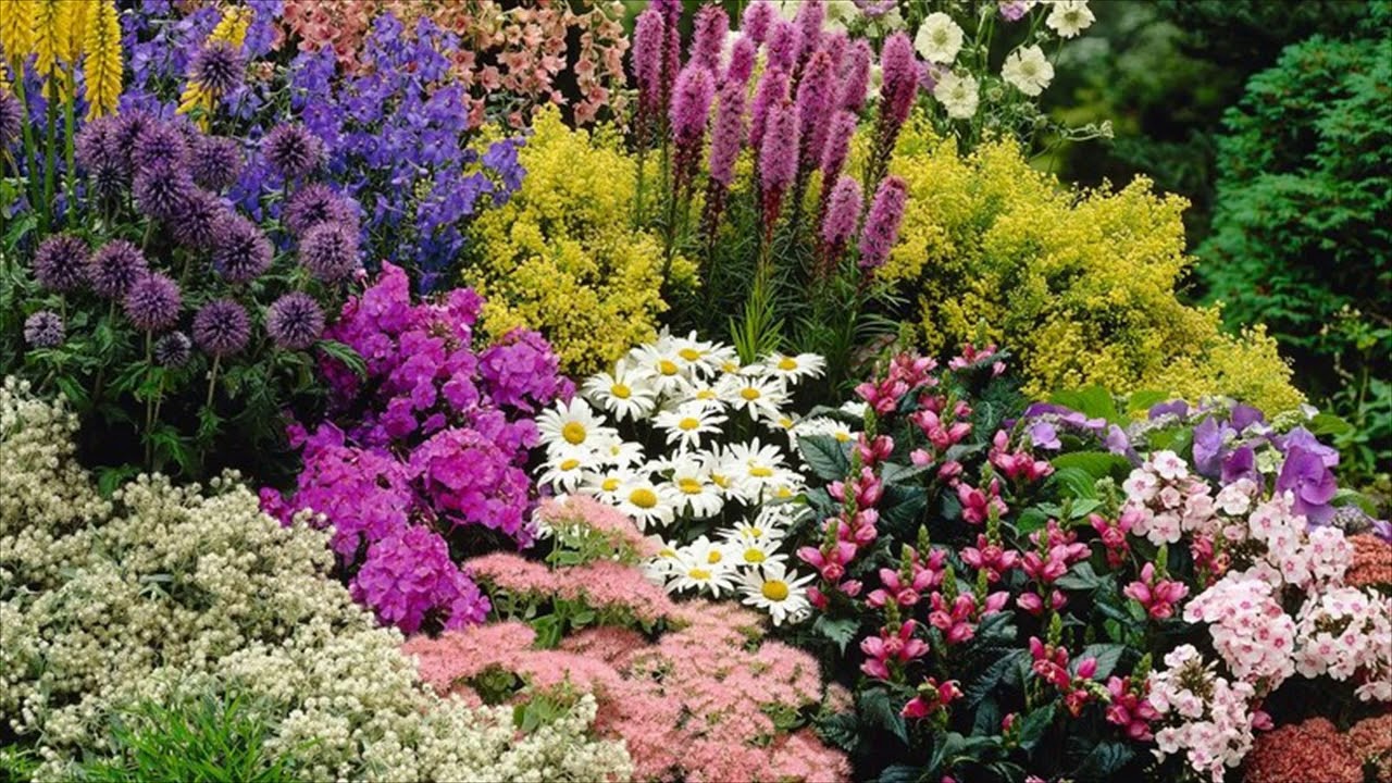 New England Perennial Flower Gardens Traditional Landscape Boston