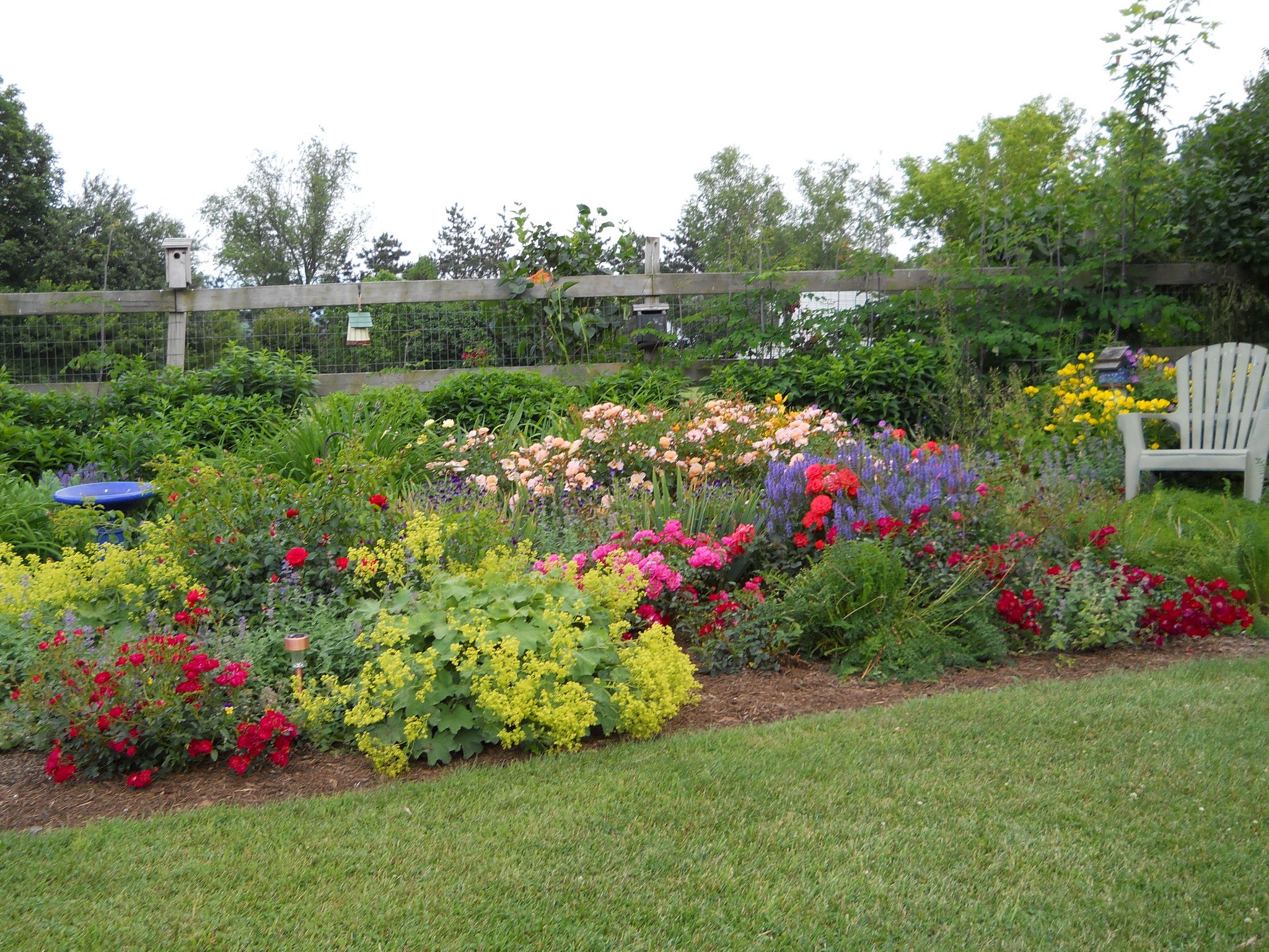 Perennial Garden Ideas Magazine Photograph New England Gar