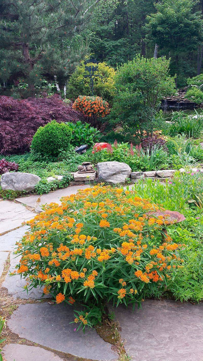19 New England Flower Garden Ideas You Gonna Love SharonSable