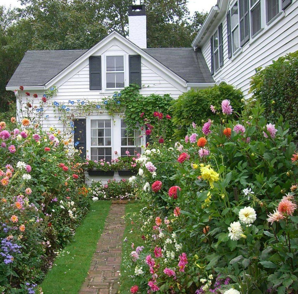 Amazing New England Shade Garden Ideas