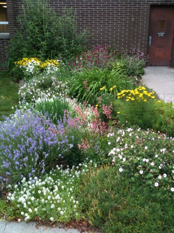 Large Trees New England Lawn Maintenance