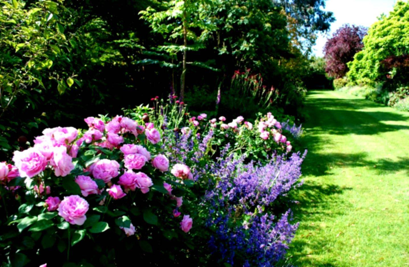 New England Backyard Landscaping Ideas