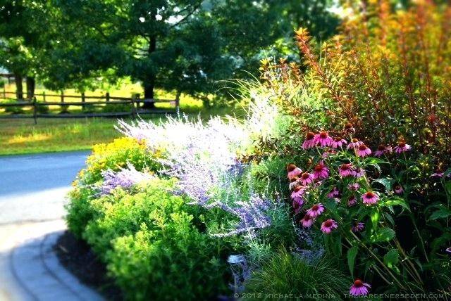 Amazing New England Shade Garden Ideas