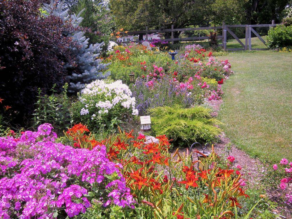 A Corner Flower Bed