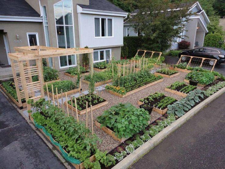 Brilliant Vegetable Garden Layout Ideas
