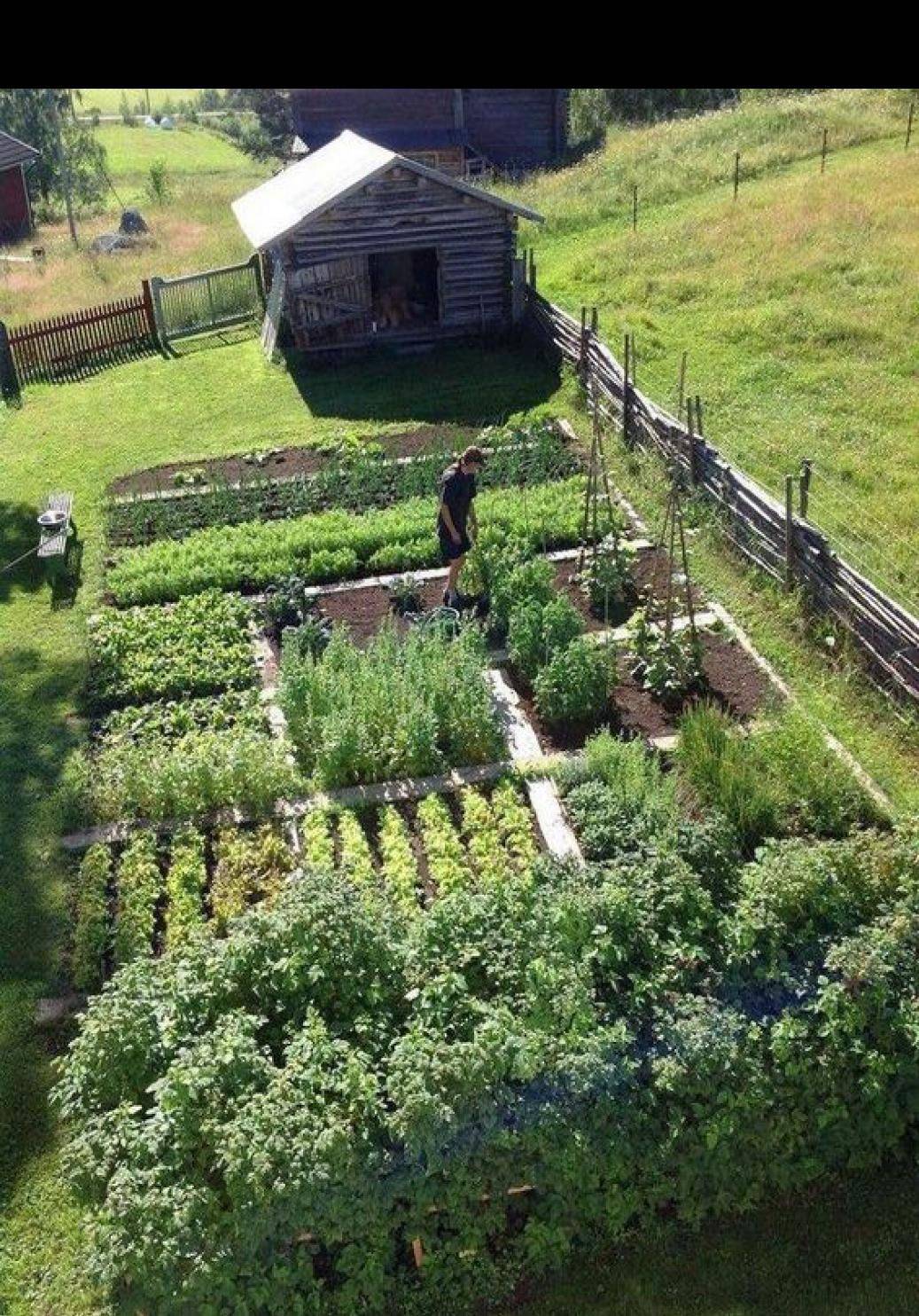 Great Square Foot Gardening Ideas Httpsmodernhousemagzcom