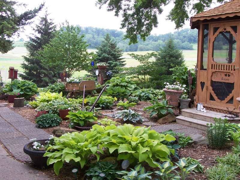 Small Rose Garden Ideas Garden