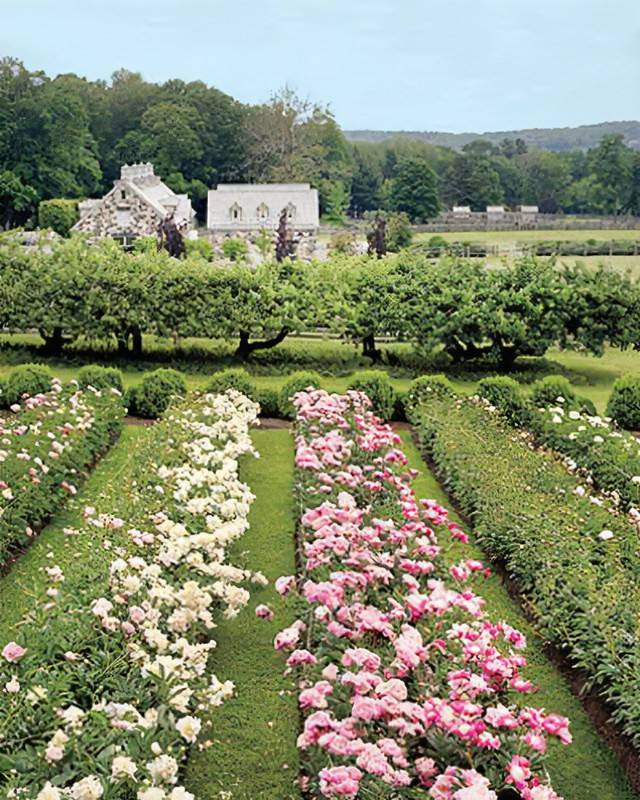 Creative Container Garden Ideas