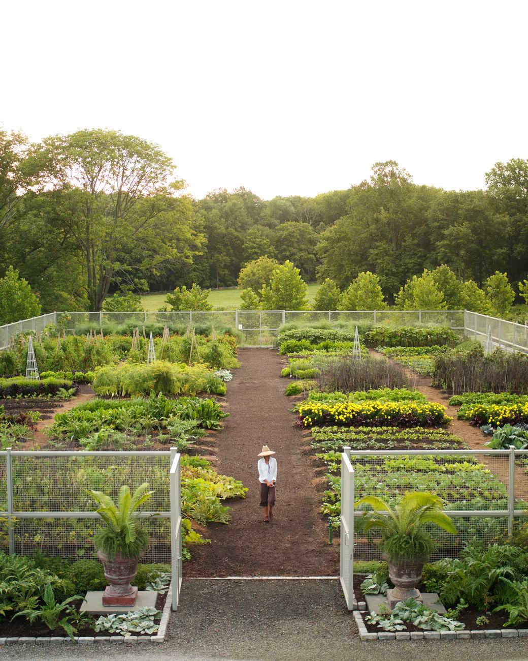 Martha Stewart Garden